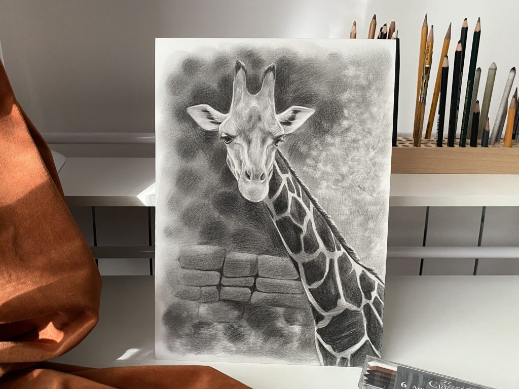 Realistic pencil drawing of a giraffe